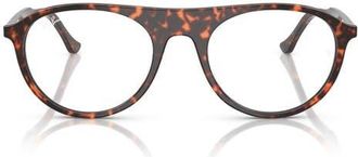 Ray-Ban 53mm Square Optical Glasses in Red Havana at Nordstrom