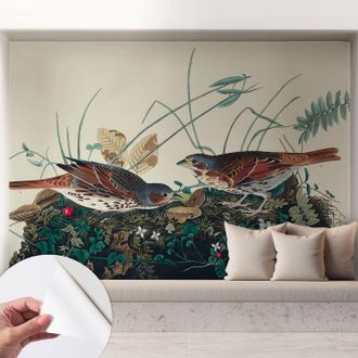Tulup Fotomurale Adesivo Stickers - Per Camera Da Letto - Per Corridoio - Decorazione Casa Moderna Il Fascino Della Natura 208x146 Cm