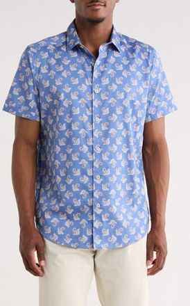 Robert Graham Beauchamp Short Sleeve Cotton Button-Up Shirt in Blue at Nordstrom Rack, Size 4X-Large