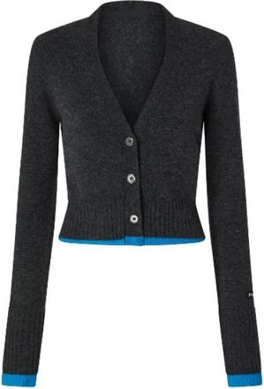 Pinko Korte Kasjmier Cardigan met V-hals - Dames - Vesten - Grijs - L - Kasjmier - Truien & Vesten