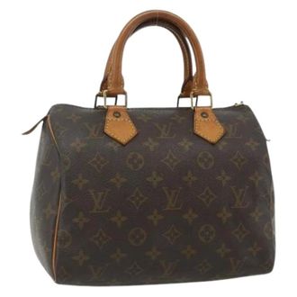 Louis Vuitton Pre-owned Handbags, female, Brown, Size: ONE SIZE Pre-owned Vintage Hand Bag