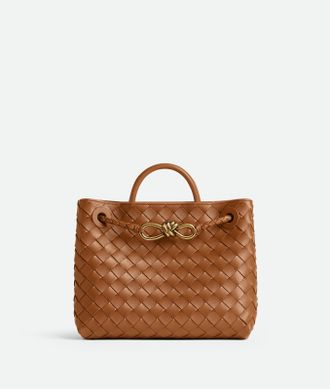 Bottega Veneta Small Andiamo - Bottega Veneta