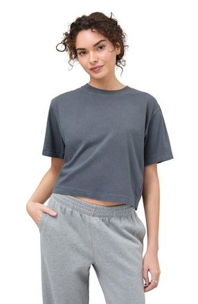 Richer Poorer Inc. The Relaxed Crop Tee in Blue Steel at Nordstrom, Size X-Large