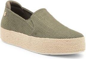 Skechers x Martha Stewart BOBS Sesame Slip-On Sneaker in Olv-Olive at Nordstrom Rack, Size 6.5