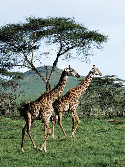 How Many Of These Epic Destinations Have You Checked Off Your Bucket List? | Stylight