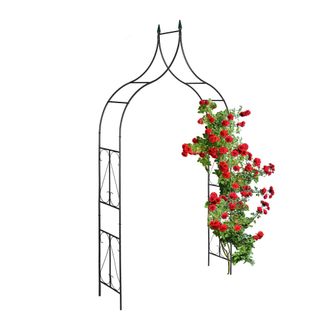 Relaxdays Relaxdays Arco Jard&iacute;n Met&aacute;lico, Soporte Trepadoras, Con Puntas, 270 X 145 X 37 Cm, Tutor Plantas Enredaderas, Negro