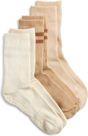 High Heel Jungle 3-Pack Varsity Grip Crew Socks in Iced Coffee at Nordstrom