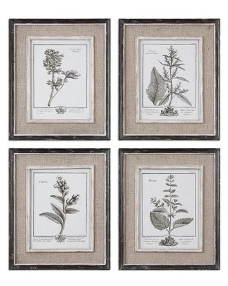 Uttermost Set Of 4 Uttermost Casual Grey Study Framed Art