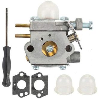 OEM Carburador Para Desbrozadora Wt-973 Tb22ec Ym71ss Rm2520