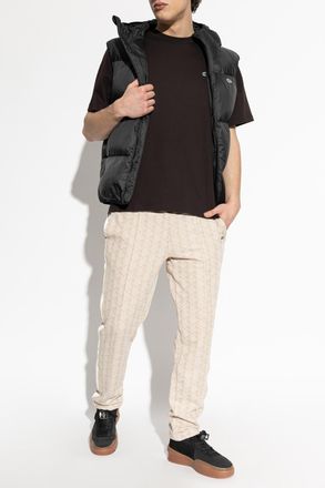 Lacoste T-shirt With Logo Patch, Mens, Brown