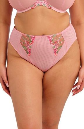 Elomi Aerith Embroidered Briefs in Rose at Nordstrom, Size Xx-Large