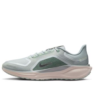 Nike Air Zoom Pegasus 41 Gore-Tex Light Pumice Metallic Silver FQ1356-007