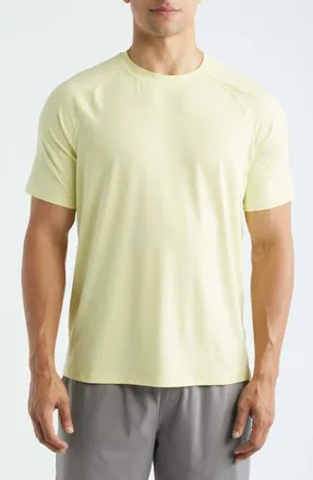 Zella Endurance Performance T-Shirt in Green Wheat at Nordstrom, Size Xx-Large