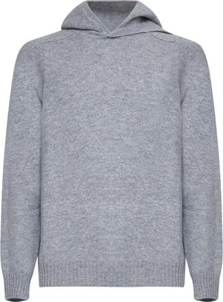 D4.0 Heren, Sweatshirts & Hoodies, Grijs, Maat: XL Wol