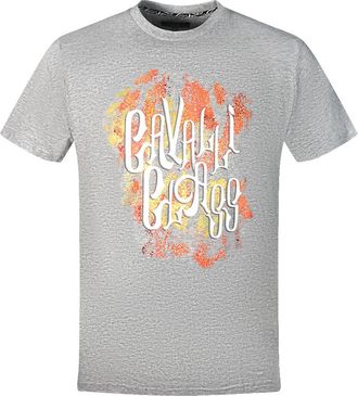 Cavalli Mens Bold Logo Grey T-Shirt material_cotton - Size X-Large