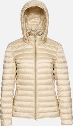 Geox Jaysen Woman Oxford Tan, Size: XXS