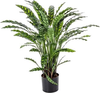 Baq Lebensechte Kunstpflanze Calathea ø 75/ Höhe 84 cm