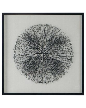 A&B Home Discontinued A&B Home Carlos Shadow Box Wall Decor