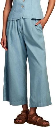 Celtic & Co. Pleat Front Crop Pants in Chalk Blue at Nordstrom, Size 10