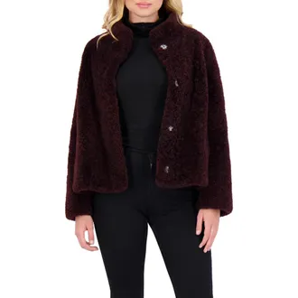 Gorski Sheared Genuine Shearling Jacket in Dark Burgundy at Nordstrom, Size X-Small