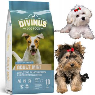OEM Alimento Para Malt&eacute;s, Yorkshire Terrier, Shih Tzu, Bulldog Franc&eacute;s, Divinus Mini 10 Kg