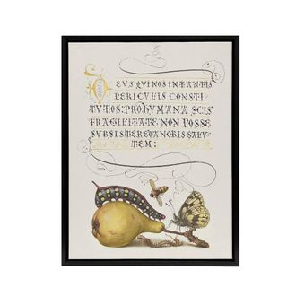 Artery8 Caterpillar Pear & Butterfly Calligraphy Framed Canvas Wall Art in White | Size: W24 x H32