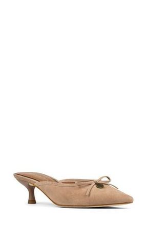 Donald J Pliner Soel Kitten Heel Mule in Tobacco at Nordstrom Rack, Size 7.5