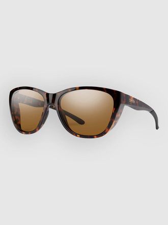 Smith Shoal Tortoise Gafas de Sol marr&oacute;n