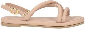 Caf&egrave;noir FOOTWEAR - Sandals sur YOOX.COM