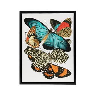 Artery8 Vintage Butterflies Blue & Orange Framed Canvas Wall Art Print Seguy | Size: W24 x H32