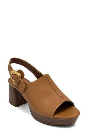 Aerosoles Chancey Platform Sandal in Tan Tan Faux Leather at Nordstrom Rack, Size 9.5