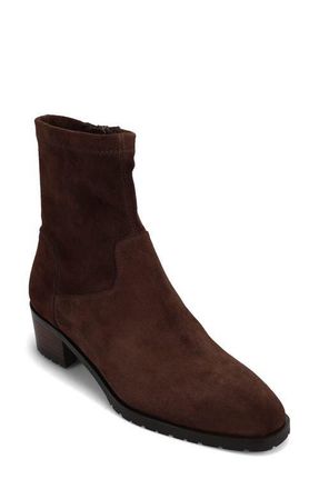 Vaneli Oleg Bootie in Dark Moro at Nordstrom, Size 7.5