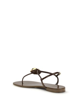 Giuseppe Zanotti Womens Sandals Pia Muse Hot Brown Stainless Steel