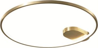 OEM Elyptica C - L&aacute;mpara De Techo, L&aacute;mpara De Techo Led Moderna