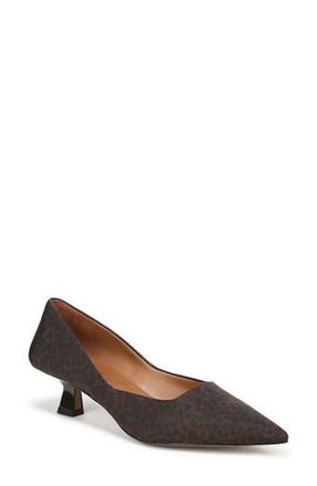 Franco Sarto Joselyn Kitten Heel Pump in Dark Brown at Nordstrom Rack, Size 5