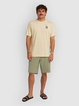 O'Neill ONeill Hybrid 19 Shorts gr&uuml;n
