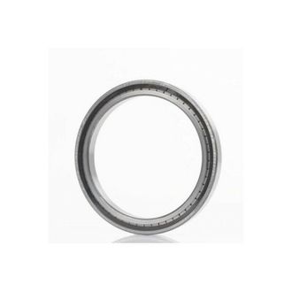 Picard Cuscinetto a rulli cilindrici 26mm od 100mm id 65mm foro cilindrico ina