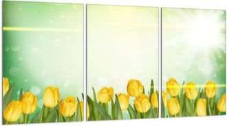 OEM Placa Protectora De Vidrio Para Estufa 3x30x52