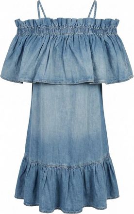Pinko Cenacolo Denim Dress