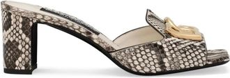Dolce & Gabbana Python Mule Sandalen met Metalen Logo - Dames - Muiltjes - Bruin - 40 EU - Leer - Schoenen