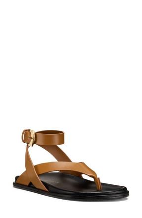 Stuart Weitzman Marykate Sandal in Boho Tan at Nordstrom, Size 6.5