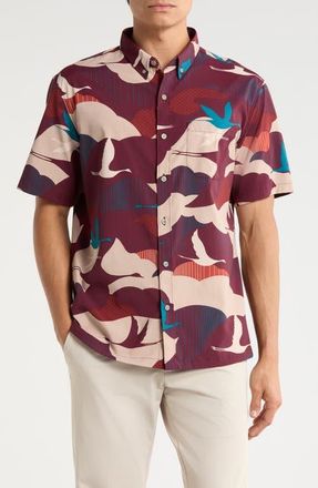 Tori Richard Take Flight Short Sleeve Button-Down Shirt in Port at Nordstrom, Size X-Large