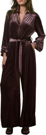 Next Long Sleeve Velvet Jumpsuit in Brown at Nordstrom, Size 10 Us