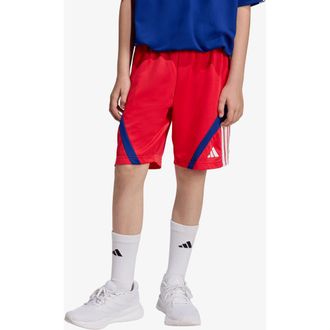 adidas House of Tiro Shorts in Pure Ruby/White/Mystery Ink at Nordstrom Rack, Size X-Large