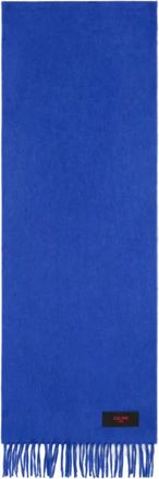 Celine Celine, Accessoires, Dames, Blauw, ONE Size, Kasjmier, Sjaal in Kasjmier