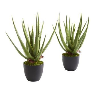 Nearly Natural Aloe Artificial Plant in Green at Nordstrom
