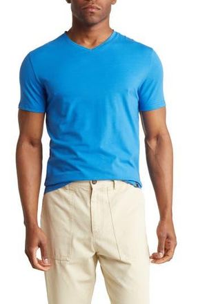 T.R. Premium Solid V-Neck T-Shirt in Royal at Nordstrom Rack, Size Xx-Large