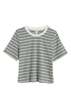 Seasalt Cornwall Copseland Stripe Organic Cotton T-Shirt in Pellitras Treetop at Nordstrom, Size 14 Us