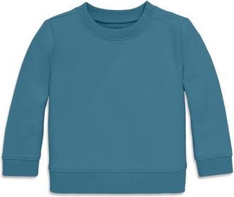 primary The New Baby Sweatshirt in Slate Blue at Nordstrom, Size 12-18M