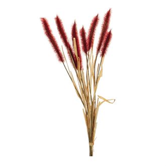Melrose International Fall Foxtail Grass Bundle (Set of 6) - Red